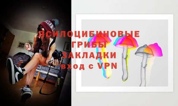 ECSTASY Козловка