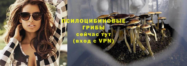 соль курить ск Козельск