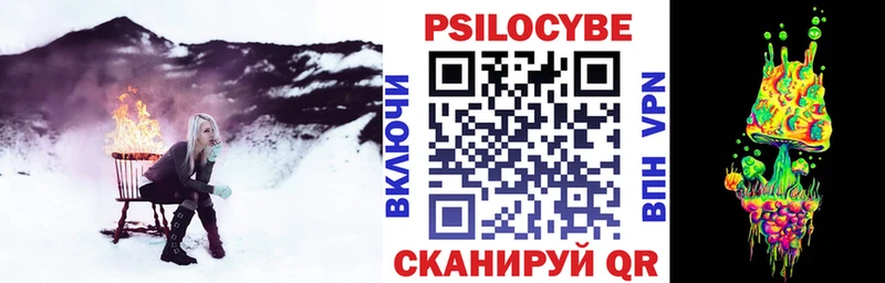 Купить  Кудымкар  Псилоцибиновые грибы GOLDEN TEACHER 
